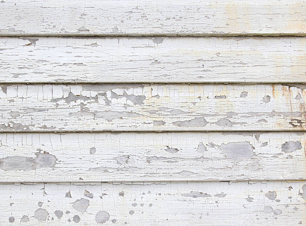 Best Siding Painting and Refinishing  in Manorhaven, NY